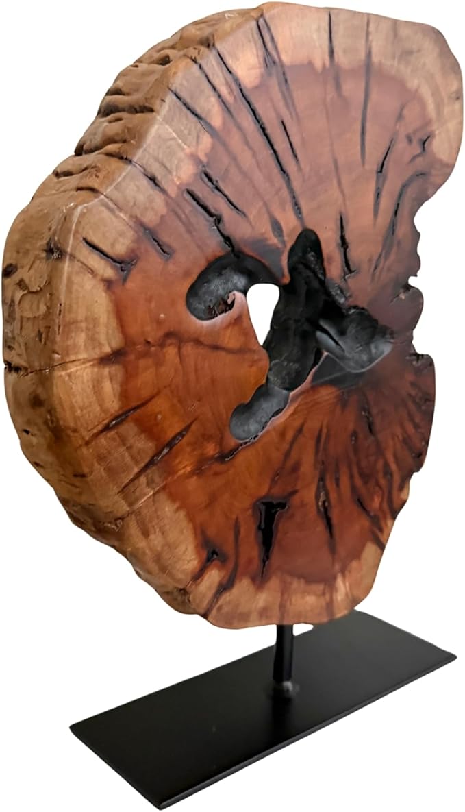 THY COLLECTIBLES Irregular Handcarved Root Wood Sculpture, Wood Tabletop Abstract Standing Sculpture for Home Decor Natural Edge Tabletop Statue Tree Stump - Small (W7.75in x H11in)