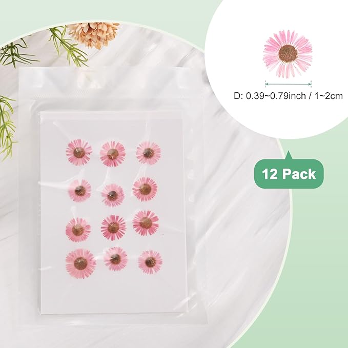 12-Pack Dried Pressed Flowers for Resin, Real Natural Bulk Dry Floral for Crafts/DIY Jewelry/Soap Making/Scrapbooking/Candle/Epoxy Resin Supplies [Pink]