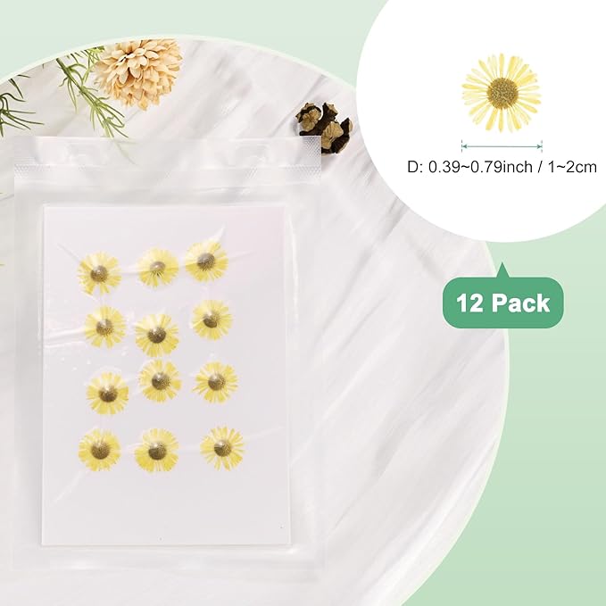 12-Pack Dried Pressed Flowers for Resin, Real Natural Bulk Dry Floral for Crafts/DIY Jewelry/Soap Making/Scrapbooking/Candle/Epoxy Resin Supplies/Photo Frames [Yellow]