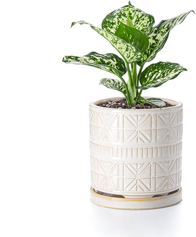 Ceramic Plant Pots Indoor-Outdoor: 6 Inch Embossed Planters with Drainage Hole & Saucer - Modern Decorative Flower Pots for Home Garden Patio Office Decor
