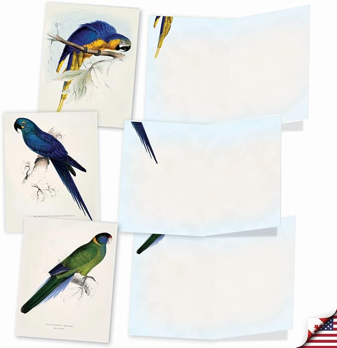 The Best Card Company - 10 Assorted Blank Notecards Bulk Box Set 4 x 5.12 Inch with Envelopes (10 Designs, 1 Each) - Birds of a Feather M6034