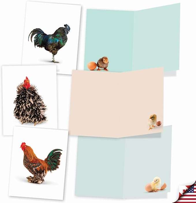 The Best Card Company - 20 Blank Birds Notes with Envelopes - All Occasion Chicken Assortment (10 Designs, 2 Each) - Exotic Roosters AM7059OCB-B2x10