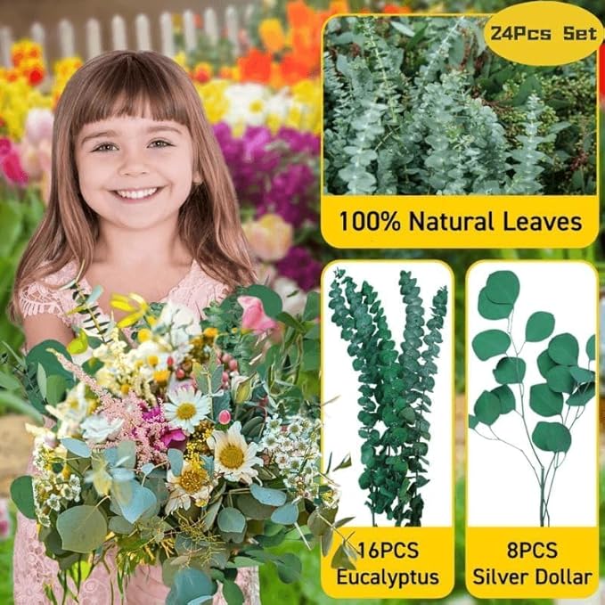 24PCS Dried Eucalyptus & Silver Dollar Leaves Bundle - 17" Large Real Eucalyptus Leaves for Shower, Home Decor, Bathroom, Dried Flowers, Christmas Garland