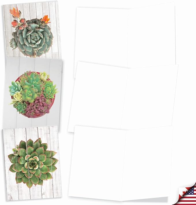 The Best Card Company - 10 Blank Note Cards with Envelopes (4 x 5.12 Inch) - Bulk All Occasion Cards Boxed - Shiplap Succulents AM6438OCB-B1x10