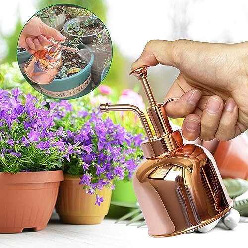 Plant Mister Spray Bottle Stainless Steel Plant Sprayer, Small Watering can Plant Spray Bottle Modern Gardening Tools for Indoor Potted Plants Watering and Spraying - Image 5