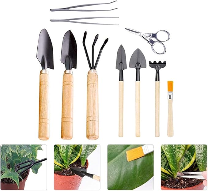 Kisangel 10Pcs Bonsai Gardening Tool Mini Succulent Planting Kit Hand Transplanting Accessories for Indoor Garden Care