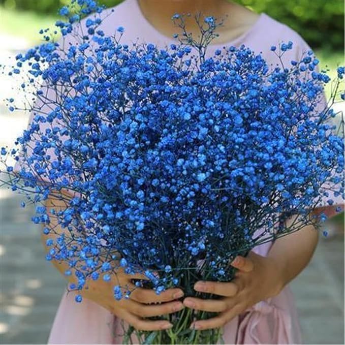 4000+ Dried-Blue-Babys-Breath-Flowers-Bouquet-17.2 inch, Dried Royal Blue Flowers for Vase, Natural Gypsophila Branches for Home Decor, Wedding, Table Decor, DIY Wreath Floral