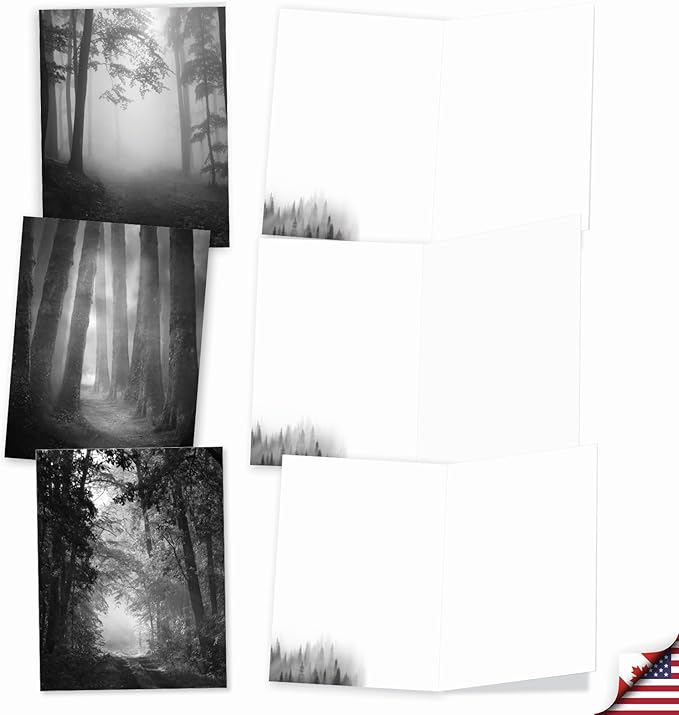 The Best Card Company - 20 All Occasion Blank Greeting Cards (4 x 5.12 Inch) - Monocolor Photos (10 Designs, 2 Each) - Misty Woods AM7167OCB-B2x10