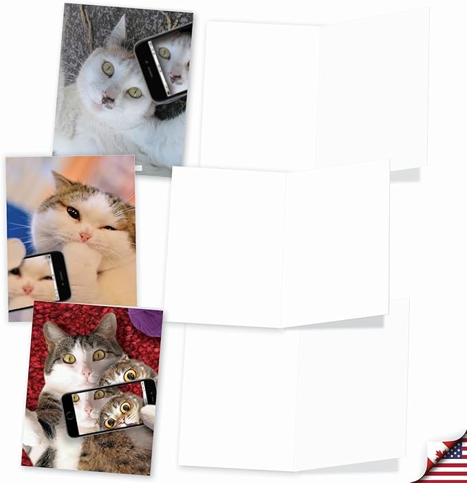 The Best Card Company - 10 Adorable Blank Cat Cards (4 x 5.12 Inch) - Cute Pet Kittens, Assorted Bulk Notecard Set - Cats Selfie M4953OCB-B1x10-NB