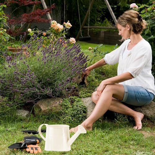 0.26 Gallon Plant Watering Can, Decorative Modern Lightweight Water Can for Plants with Sprinkler Head and Handle,Metal Small Leak Proof Indoor Watering Cans for House Plants Bonsai Gardening - Image 4
