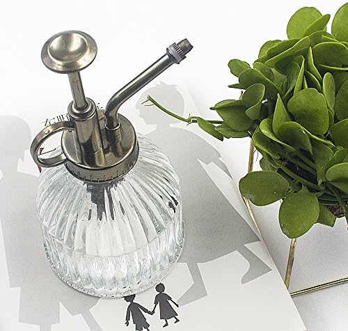 Glass Plant Mister Water Spray Bottle, 200 ML Glass Plant Spritzer Mister Bottle, Vintage Style Glass Succulent Watering Bottle with Top Pump, Plant Sprayer Mister for Indoor Plants - Clear - Image 4