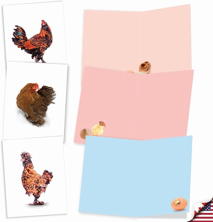 The Best Card Company - 20 Blank Birds Notes with Envelopes - All Occasion Chicken Assortment (10 Designs, 2 Each) - Exotic Roosters AM7059OCB-B2x10