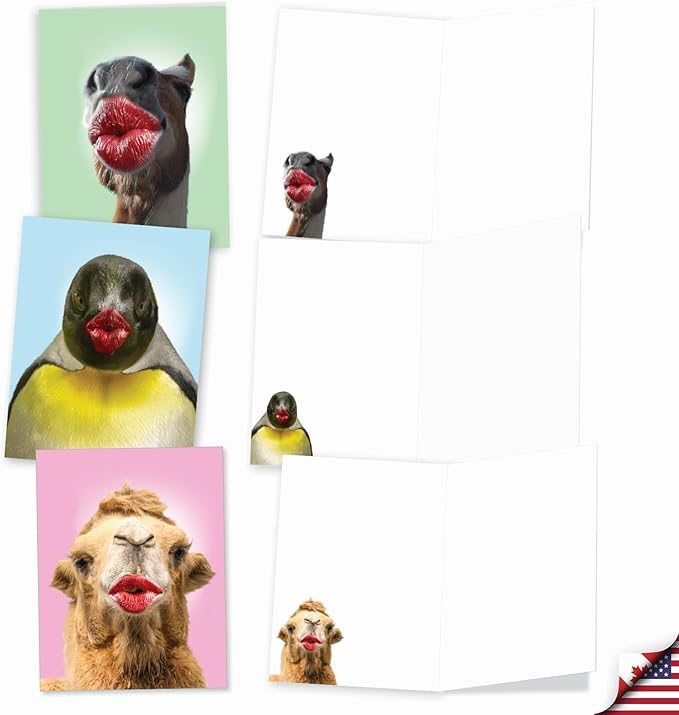 The Best Card Company Assorted Blank Greeting Card Box Set - Incl. 20 Cards + Envelopes - 10 Unique Designs - Ideal for Thank Yous, Invitations, More - Wild Kisses AM9280OCB-B2x10-NB