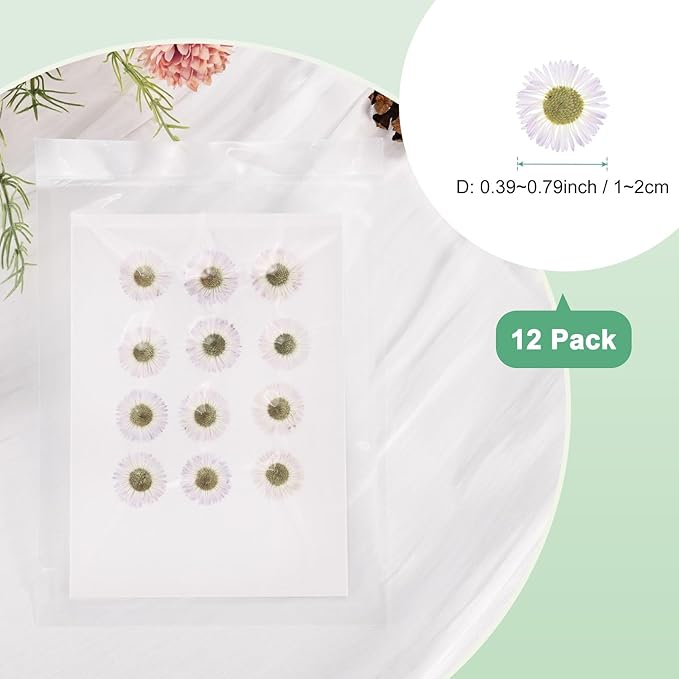 12-Pack Dried Pressed Flowers for Resin, Real Natural Bulk Dry Floral for Crafts/DIY Jewelry/Soap Making/Scrapbooking/Candle/Epoxy Resin Supplies/Photo Frames [White]