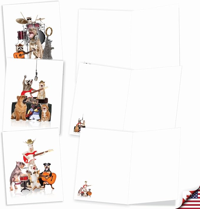 The Best Card Company - 20 Assorted Bulk Animal Cards Boxed (4 x 5.12 Inch) (10 Designs, 2 Each) - Animal Bands AM9508OCB-B2x10