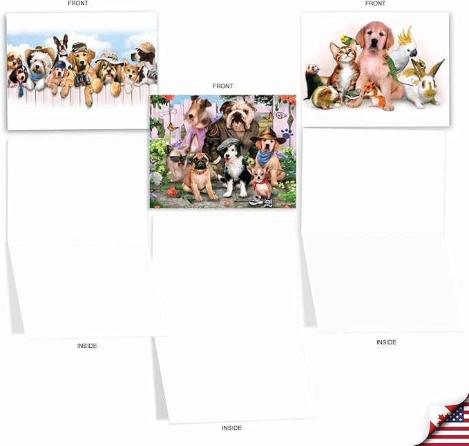 The Best Card Company - 10 Blank Animal Cards Boxed (4 x 5.12 Inch) - Assorted Pets, Zoo, Wildlife Cards for Kids - Off the Leash M6641OCB