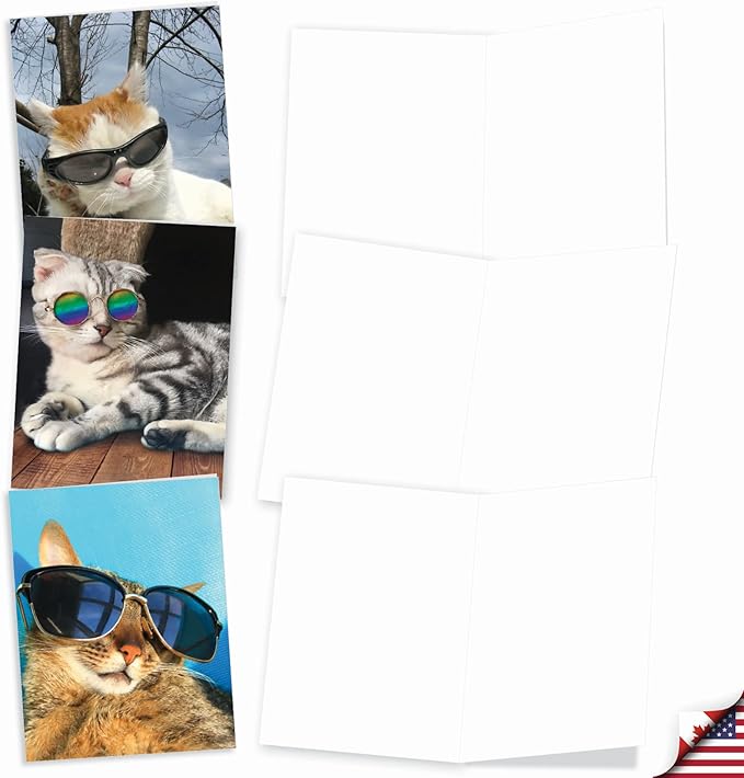 The Best Card Company - 10 Adorable Blank Cat Cards (4 x 5.12 Inch) - Cute Pet Kittens, Assorted Bulk Notecard Set - Kool Kitties AM6891OCB-B1x10