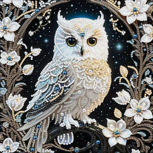 Owl Special Shape Diamond Painting Kits for Adults DIY crafts 12 x 12inch by Unknown
