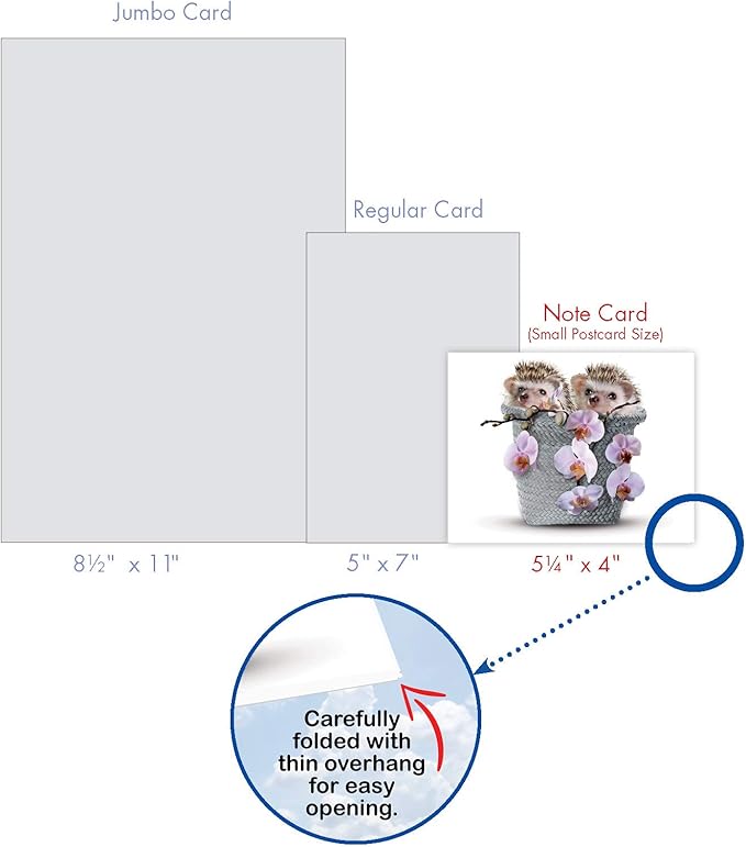 The Best Card Company - 10 Blank Animal Cards Boxed (4 x 5.12 Inch) - Assorted Pets, Zoo, Wildlife Cards for Kids - Cards from the Hedge M6541OCB