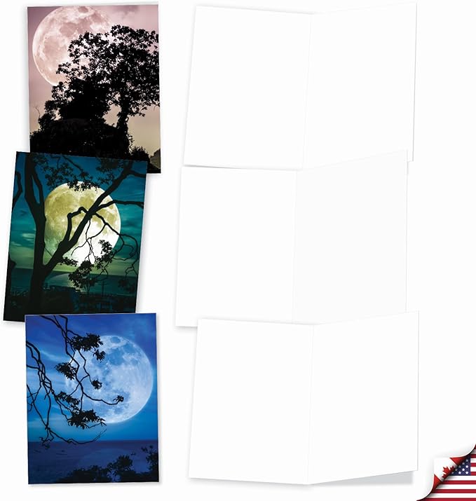 The Best Card Company - 20 Landscape Nature Note Cards Blank (4 x 5.12 Inch) (10 Designs, 2 Each) - Moonshine AM7169OCB-B2x10