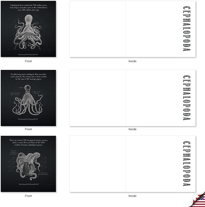 The Best Card Company - 10 Blank Note Cards with Envelopes (4 x 5.12 Inch) - Octopus Photos, Bulk Boxed Set - Octo-Facts MQ4957OCB-B1x10-NB