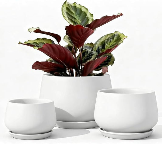 LE TAUCI Ceramic Plant Pots, 4.1+5.1+6.5 inch, Set of 3, Planters with Drainage Hole and Saucer, Indoor Flower Pot with Hole Mesh Pad, Gifts for Mom, White