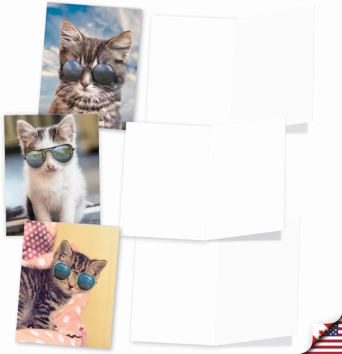 The Best Card Company - 10 Adorable Blank Cat Cards (4 x 5.12 Inch) - Cute Pet Kittens, Assorted Bulk Notecard Set - Kool Kitties AM6891OCB-B1x10