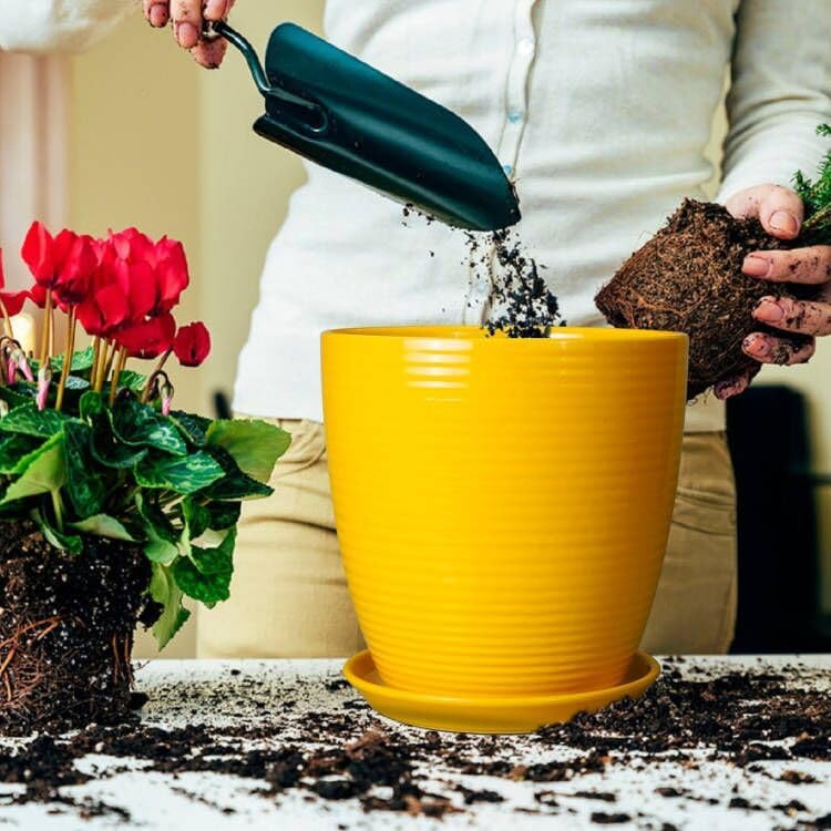 10 Inch Plant Pot - Ceramic Pot for Plants Outdoor Planter for Indoor Plants Large Plant Pot with Drainage Hole and Saucer Round Flower Pot for Home Patio Office Yellow - Image 4
