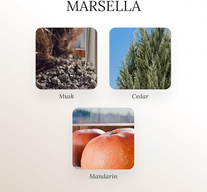 A U R A - Marseille Fragrance Oil for Waterless Scent Diffuser - Inspired by Loevve-Solo | (6.7 fl oz, 200 ml) Pure Essential Oil Blends for Aromatherapy Diffuser & Hotel Collection Oil Diffuser