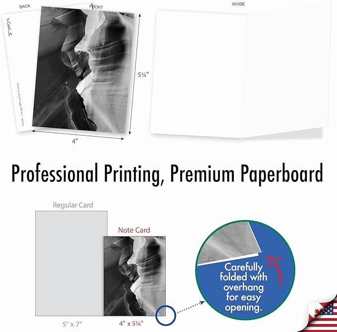 The Best Card Company - 10 Blank Note Cards with Envelopes (4 x 5.12 Inch) - Black & White Photos, Bulk Boxed Set - Free Forms M3310