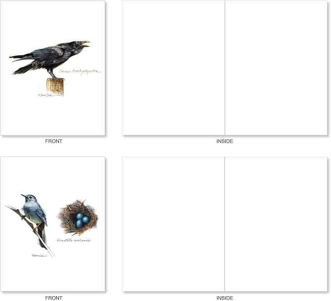 The Best Card Company - 20 Blank Bird Notes with Envelopes - All Occasion Wildlife Nature Animal Card Assortment (10 Designs, 2 Each) - Birds Watching AM3199OCB-B2x10