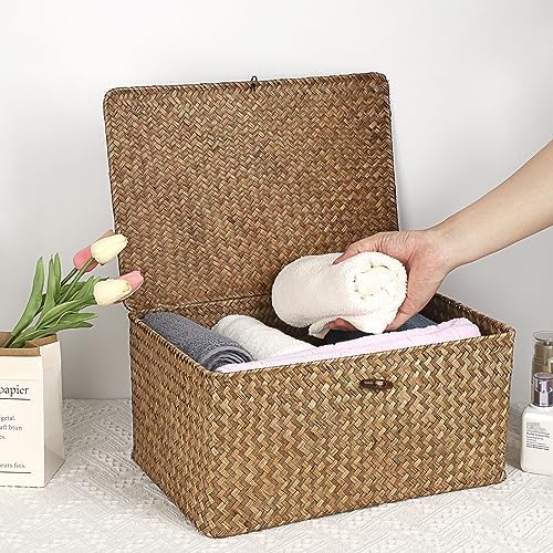 Hipiwe Wicker Shelf Baskets Bin with Lid Woven Storage Box, Coffee X-Large - Image 3