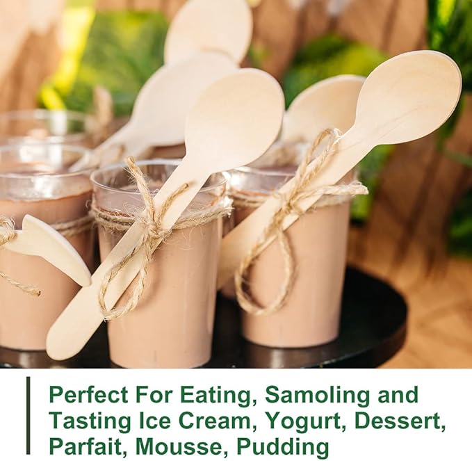 LotFancy Disposable Wooden Spoons, 250Pcs 6.25 inch Wood Cutlery Spoons, Biodegradable Compostable Eco-friendly Birchwood Sampling Tasting Spoons