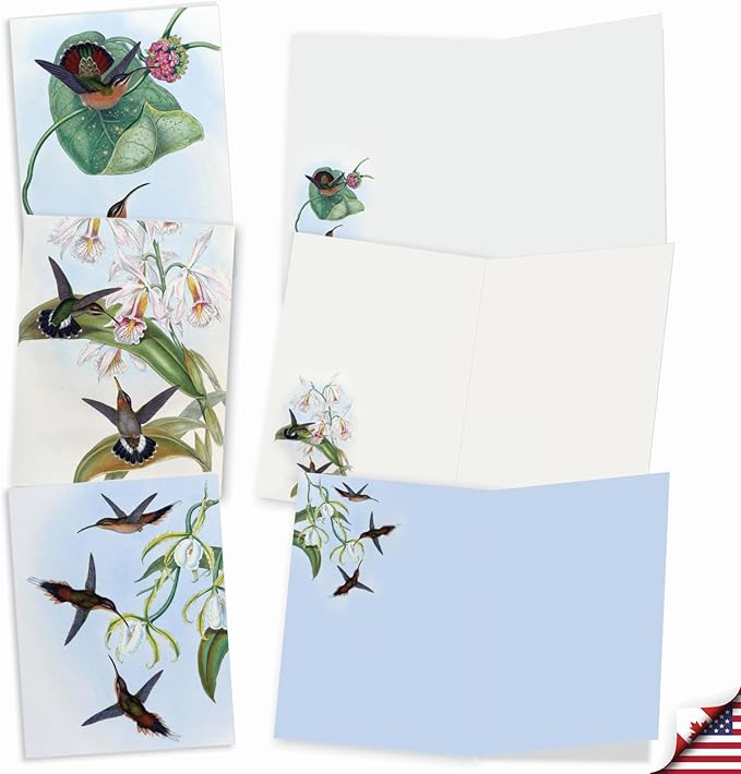 The Best Card Company - 20 Blank Notes with Envelopes - All Occasion Animal Assortment (10 Designs, 2 Each) - Humming Along AM9687OCB-B2x10