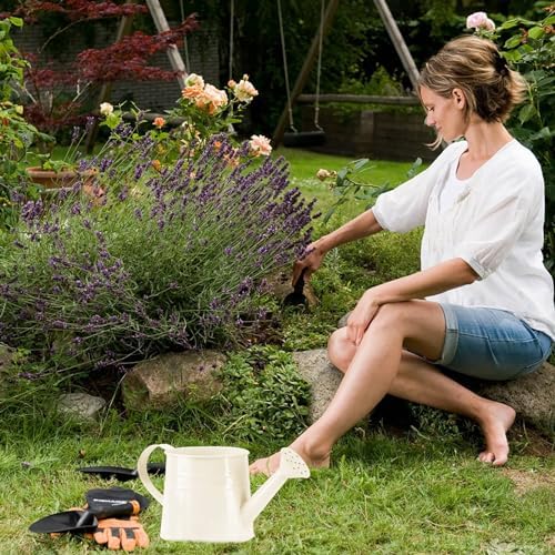 Galvanized Iron Watering Can, Tinplate Watering Kettle Small Flower Pot Plant Flower Pot, Durable Metal Flower Pot, Ideal for Gardening and Home Decor (A) - Image 4