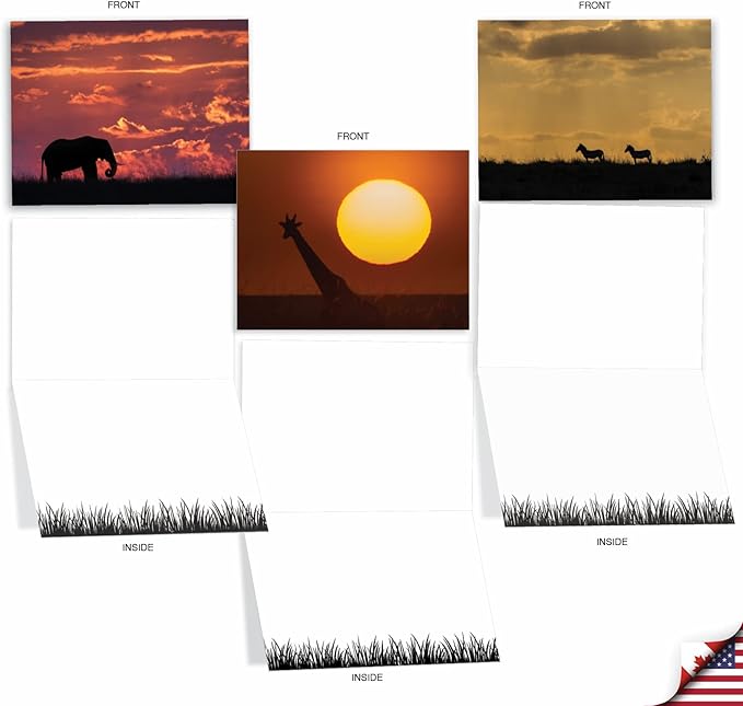 The Best Card Company - 10 Blank Animal Cards Boxed (4 x 5.12 Inch) - Assorted Pets, Zoo, Wildlife Cards for Kids - Safari Sunsets M6551OCB