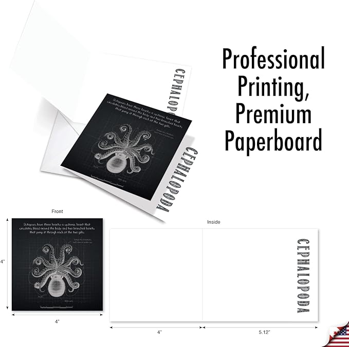 The Best Card Company - 10 Blank Note Cards with Envelopes (4 x 5.12 Inch) - Octopus Photos, Bulk Boxed Set - Octo-Facts MQ4957OCB-B1x10-NB