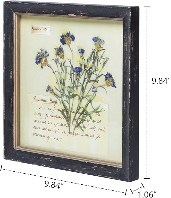 NIKKY HOME Botanical Wall Art Set of 2, Vintage Botanical Prints Wooden Framed Floral Plant Pictures Poster Decor for Bathroom Bedroom Living Room Office, 10x10 Inch