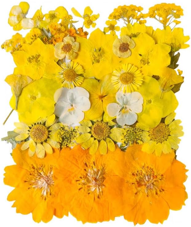 YouthBro Yellow Dried Pressed Flowers for Resin Molds,Real Natural Pressed Flowers for DIY Art Crafts,Candle Making, Nails Décor,Soap Making, Phone Case