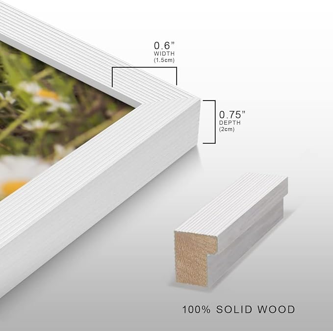 Renditions Gallery Set of 9, 8X10 Custom Photo Prints with Real Wood Picture Frames. Create Personalized Photos with Peel & Stick Photo Frames. White Frame