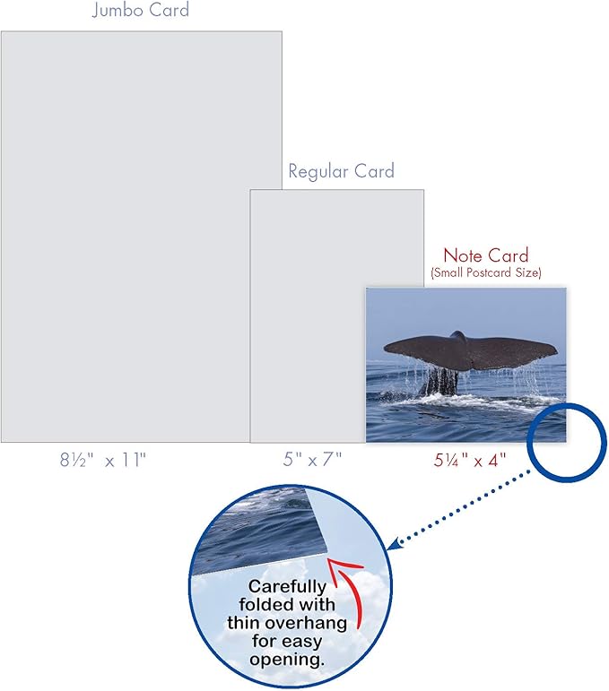 The Best Card Company - 10 All Occasion Blank Cards (4 x 5.12 Inch) - Nautical, Ocean, Sea Life Assortment of Notecards - Tales AM6839OCB-B1x10
