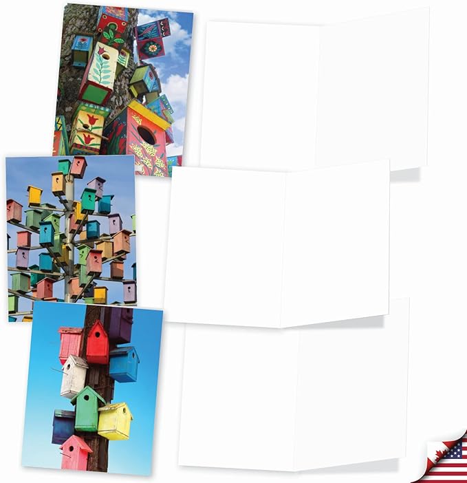 The Best Card Company - 10 Bird Note Cards Blank (4 x 5.12 Inch) - All Occasion Cards with Envelopes, Boxed Set - Birdhouse Beautiful AM6114OCB-B1x10