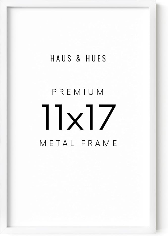 HAUS AND HUES 11x17 White Aluminum Poster Frame - Vertical & Horizontal Hanging, Shatterproof Plexiglass - Ideal for Home, Room, Office (11x17 in, White)