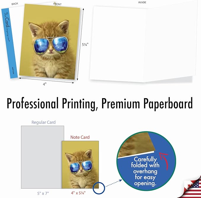 The Best Card Company - 10 Adorable Blank Cat Cards (4 x 5.12 Inch) - Cute Pet Kittens, Assorted Bulk Notecard Set - Kool Kitties AM6891OCB-B1x10