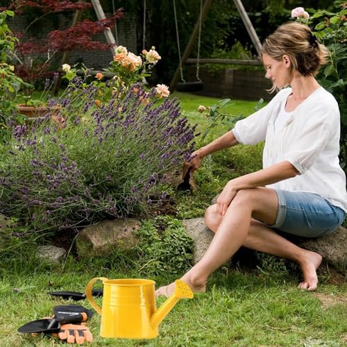 Watering Can Outdoor, 0.25 Gallon Metal Small Capacity Watering Can Indoor Plants with Sprinkler Head,Decorative Lightweight Durable Watering Cans for Garden Lawn Bonsai Greenhouse (Yellow) - Image 4