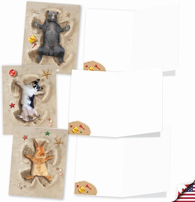 The Best Card Company - 20 Bulk Box Animal Note Cards Blank (4 x 5.12 Inch) - Funny Wildlife Assorted Notecard Pack with Envelopes (10 Designs, 2 Each) - Sand Angels AM6844OCB-B2x10
