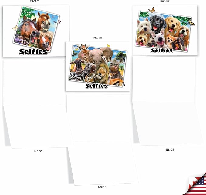 The Best Card Company - 10 Blank Animal Cards Boxed (4 x 5.12 Inch) - Assorted Pets, Zoo, Wildlife Cards for Kids - Note to Selfie M6642OCB