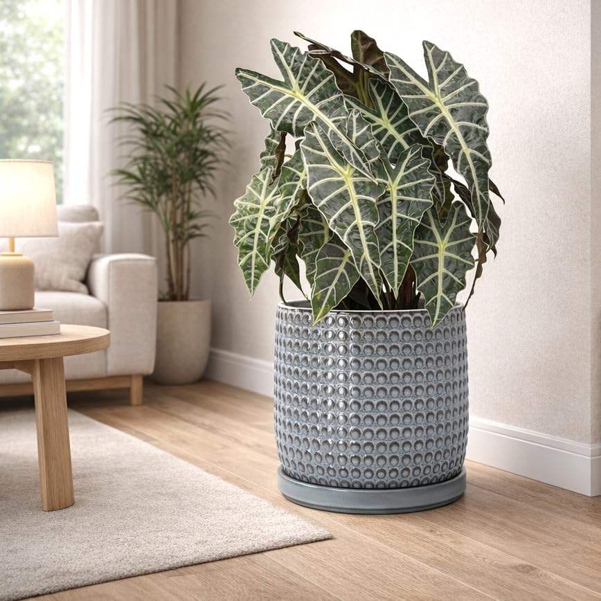 D'vine Dev Beaded Ceramic Pot with Saucer, 10 in, Graphite Blue, 27-C-P-9 - Image 4