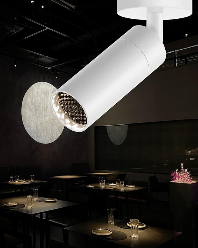 Led Modern Directional Spotlight, Zoomable Monopoint Ceiling Spot Light for Indoor Cafeteria Foyer Living Room Warm White