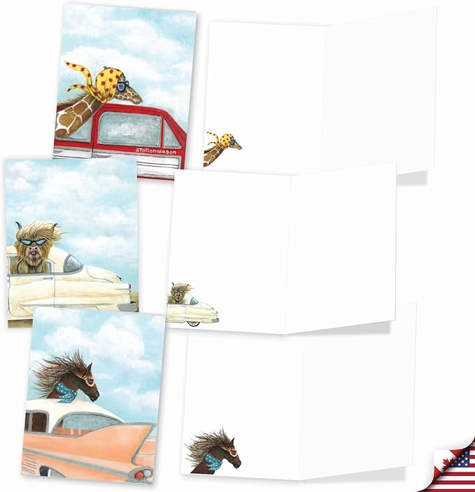 The Best Card Company Assorted Blank Greeting Card Box Set - Incl. 20 Cards + Envelopes - 10 Unique Designs - Perfect for Thank Yous, Invitations, More - Driving Divas AM9276OCB-B2x10